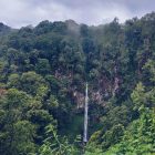 5 Destinasi Wisata Kebun Paling Memukau di Malang Raya