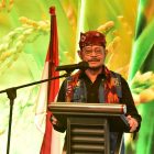 Jungle Light Hadir dalam Malam Pergantian Tahun di All Seasons Jakarta Thamrin
