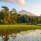 Hidden Gems Yogyakarta dengan Pemandangan Indah