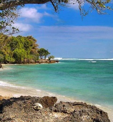 Taman Laut Seperti di Atlantis ini Ternyata ada di Indonesia !