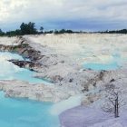 Padang Savananya Indonesia, Inilah Taman Nasional Baluran Wajib Banget Masuk Bucket List Kamu!