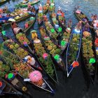 Tidak Disangka! 3 Wisata Budaya Tradisional Unik Ini Berada di Lombok