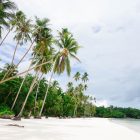 Pesona Keindahan Pantai Tiga Warna di Malang yang Cantik dan Menakjubkan