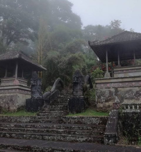 Desa Terbersih Di Dunia Ada di Indonesia Loh, Berikut Ulasan Desa Penglipuran Bali!