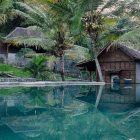 Tak Hanya Ada di Pulau Komodo, Berikut 3 Pantai Berpasir Pink Yang Ada di Indonesia
