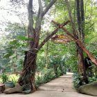 Mengagumi Keindahan Alam dari Ketinggian Kokoon Hotel Banyuwangi