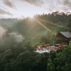 Staycation Di Hutan! Ala Bubu Jungle Resort