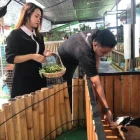 6 Cafe Alam di Bogor yang Asri, Sejuk, dan Nyaman
