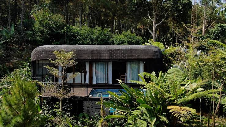 Bubu Jungle Resort Ciwidey