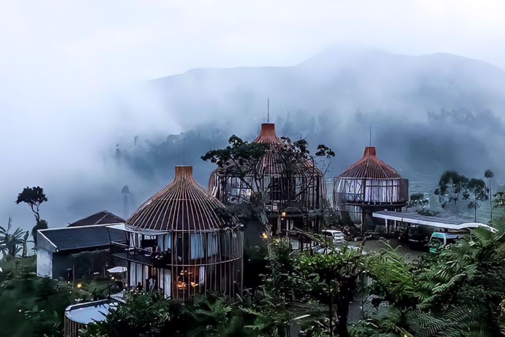 Bubu Jungle Resort, Destinasi Ideal untuk Menginap dan Relaksasi