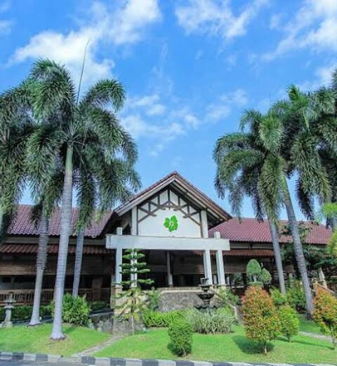 Hotel Adhisthana, Penginapan Instagramable dengan Suasana Rumahan di Yogyakarta