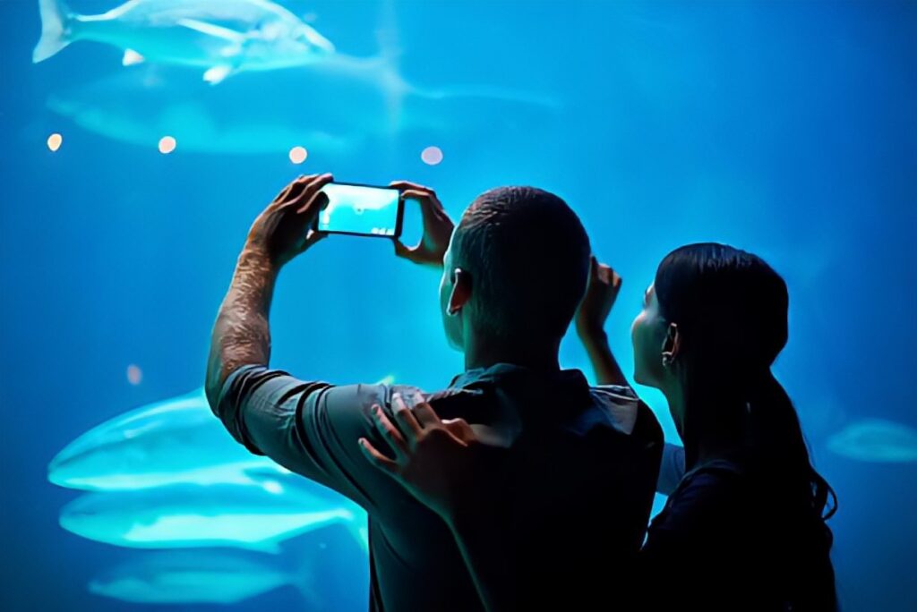 Ini Rekomendasi Aquarium Date di Jakarta dan Sekitarnya, Cocok Buat Malam Mingguan