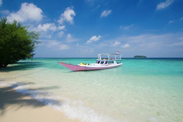 Keindahan Pulau Karimun Jawa: Surga Tersembunyi di Laut Jawa ...