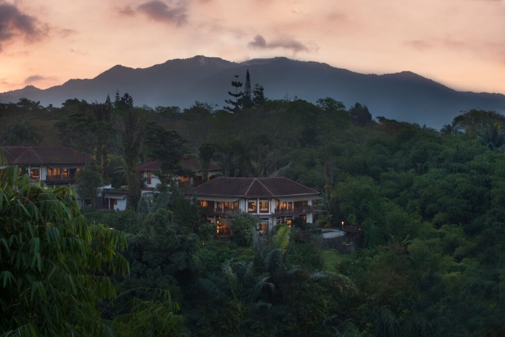 Pesona Hijau Sejuk dan Instragramable di Novus Giri Resort and Spa Puncak Bogor