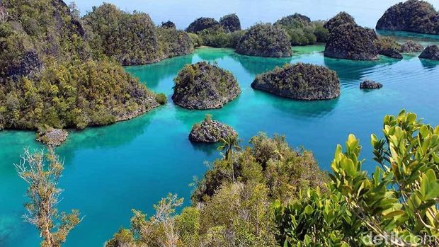 4 Pilihan Hotel Terbaik di Raja Ampat: Harga Bersahabat, Fasilitas Mewah