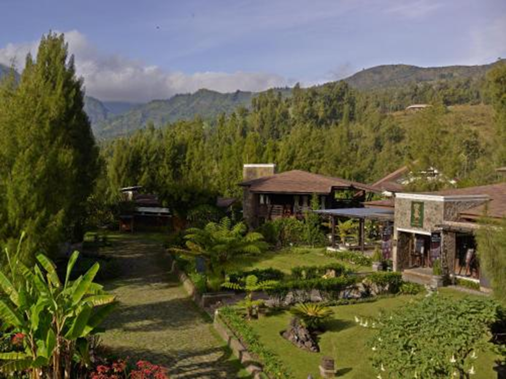 Jiwa Jawa Resort Bromo hadir untuk memadukan keindahan alam dan pelayanan yang penuh jiwa keindahan.