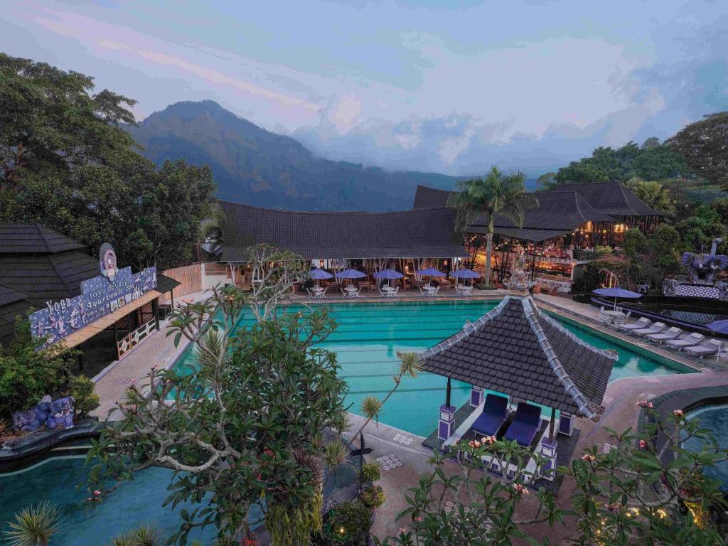 The Ayu Kintamani