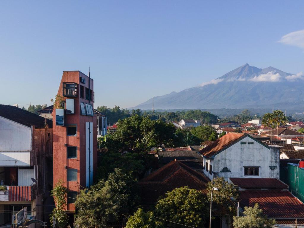 View Pitu Room