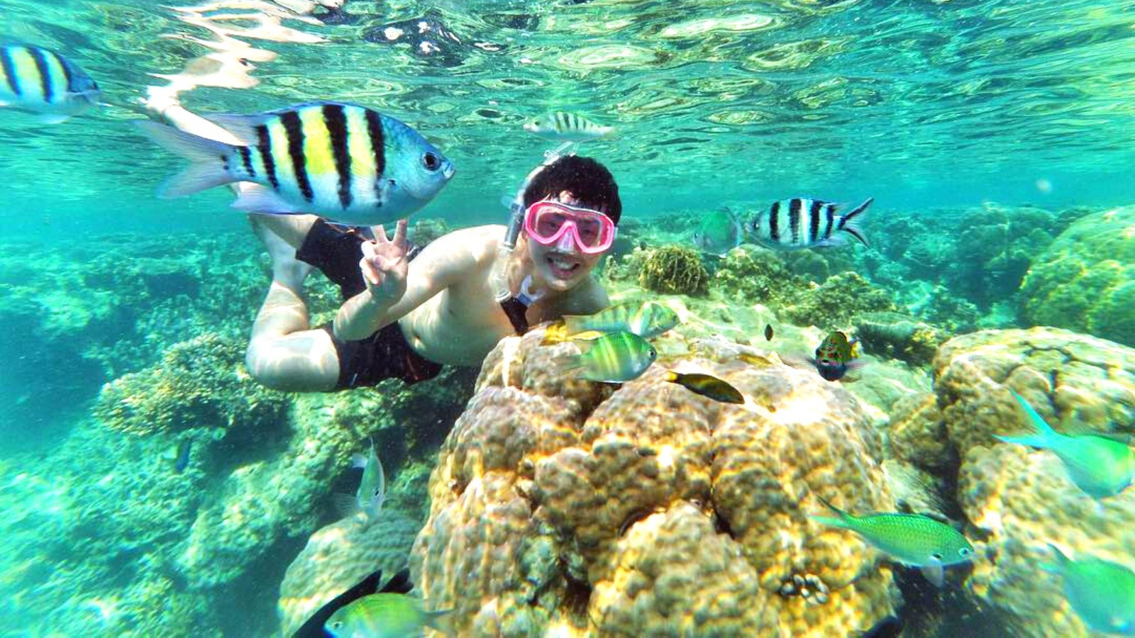 Snorkeling di Pulau Macan Eco Lodge