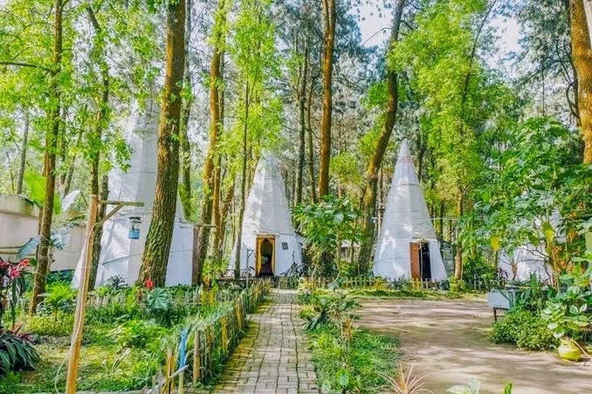Apache Camp Batu