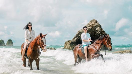 Horseback Sumba