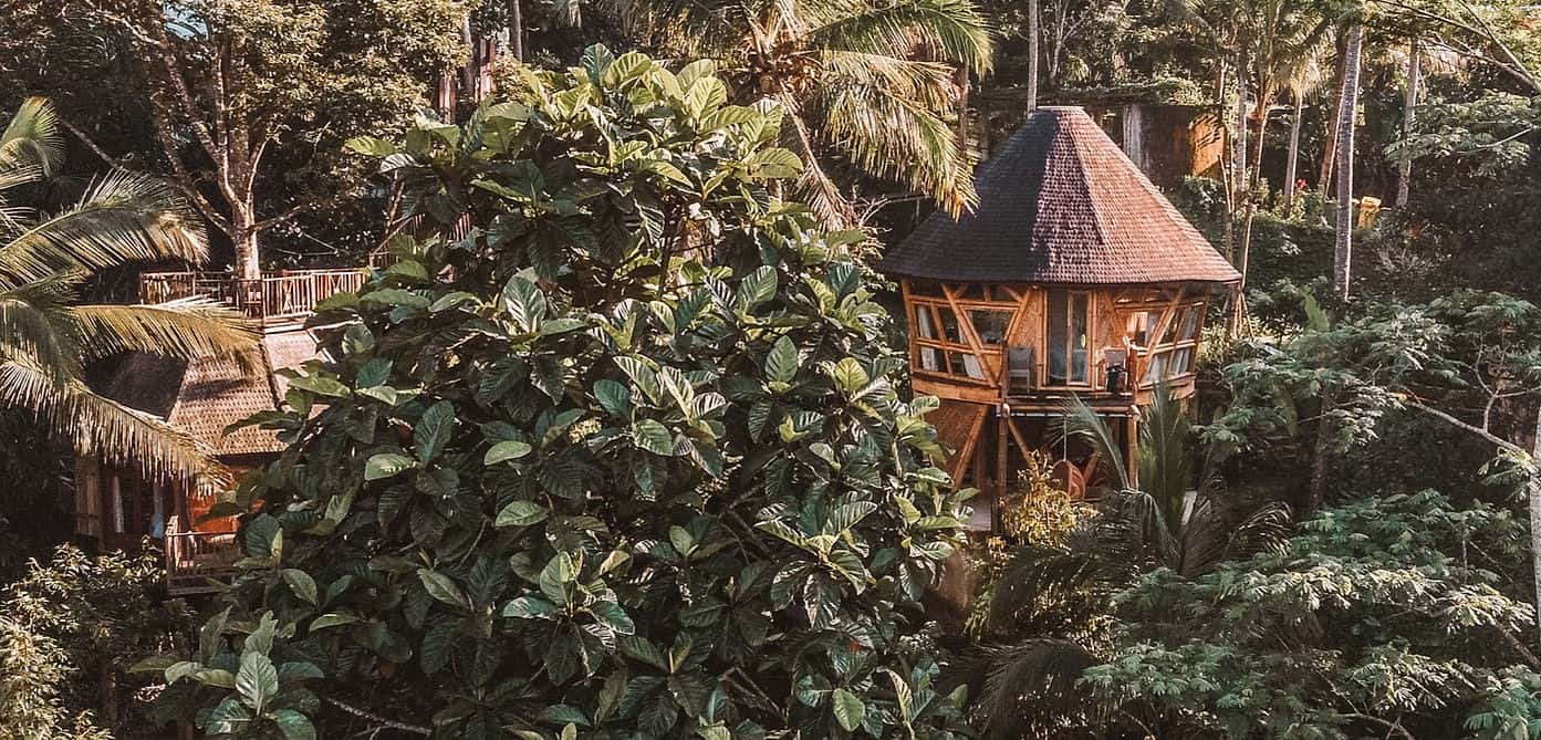 Hobbit Treehouse