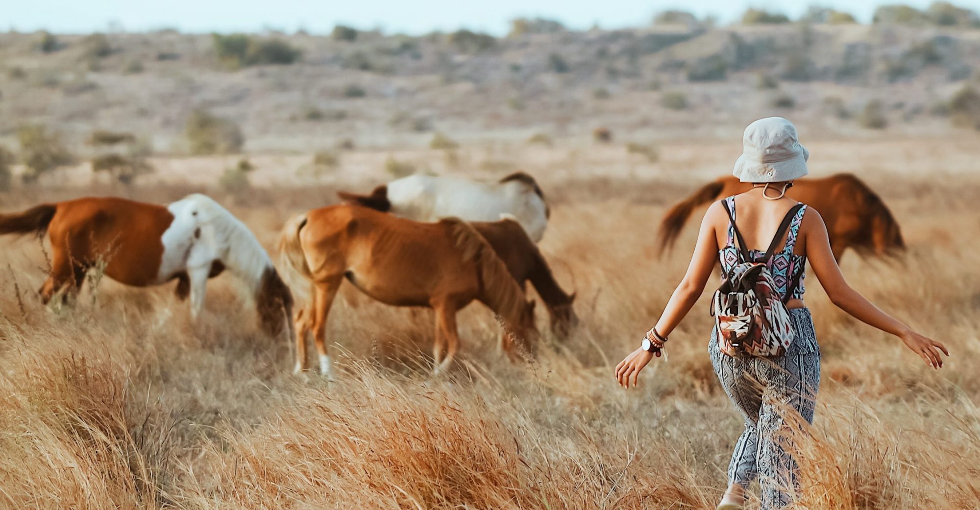 Horseback Sumba