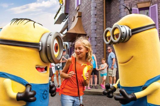 Kids Despicable Me Suite