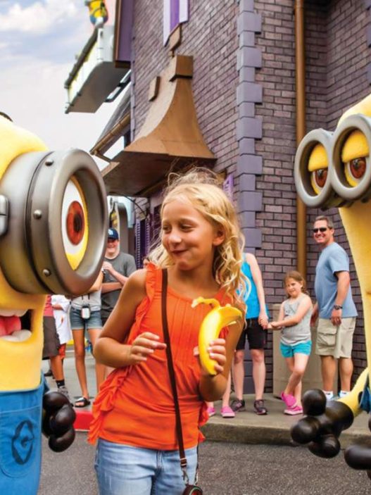 Kids Despicable Me Suite