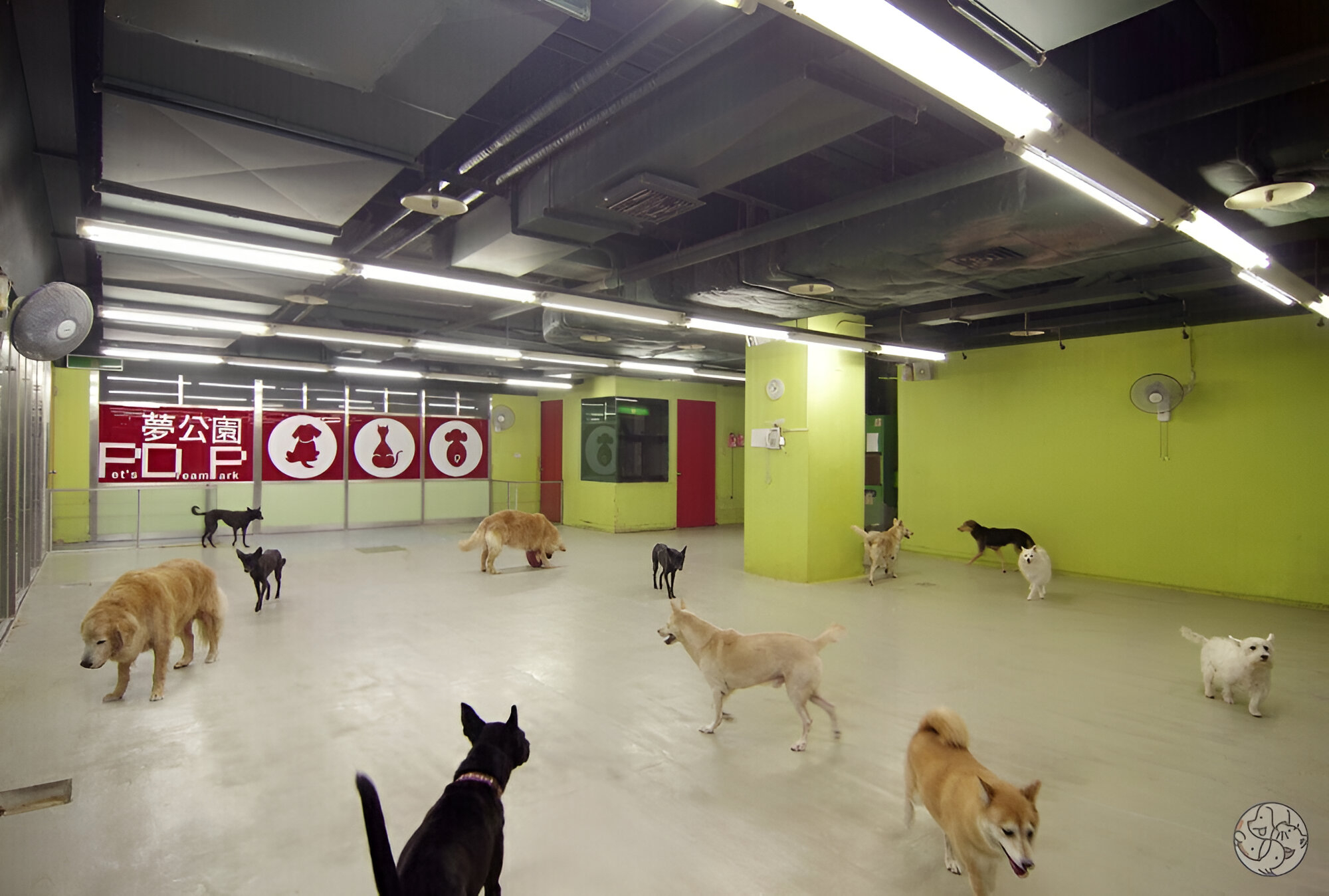 Pet's Dream Park Hotel