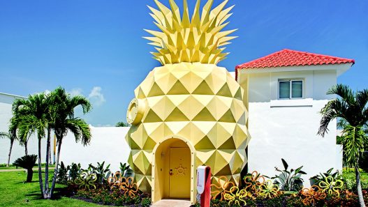 The Peneapple Pool Super Villa