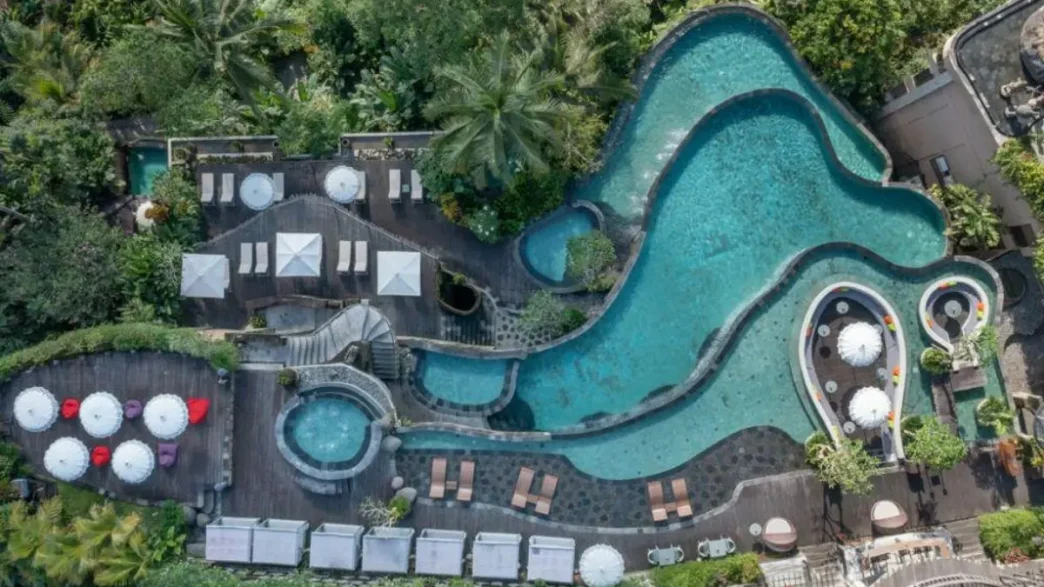 hotel mewah dengan pemandangan hutan