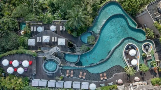 hotel mewah dengan pemandangan hutan