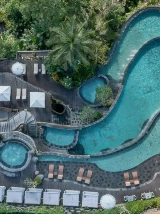hotel mewah dengan pemandangan hutan