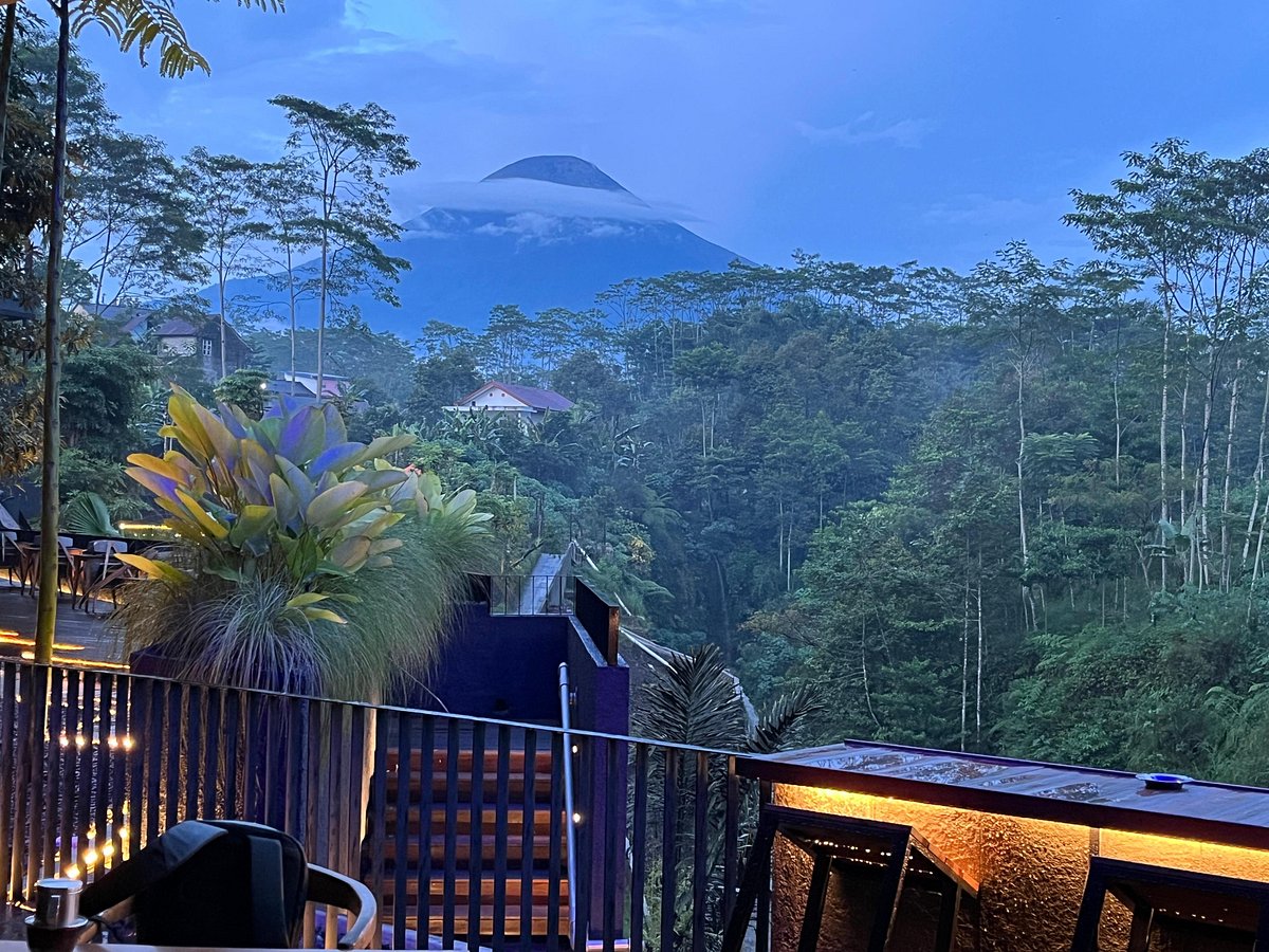 pemandangan pagi dari teras kamar menghadap gunung