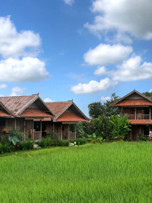 Bali SIlent Retreat