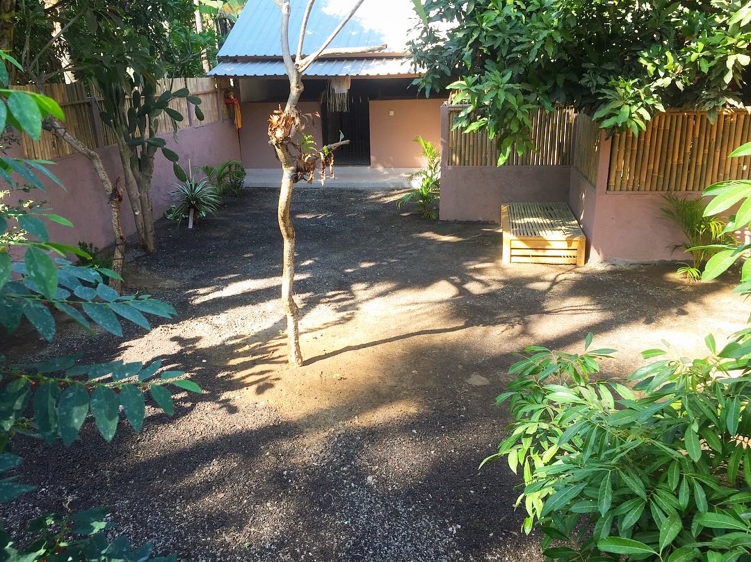 Pet Paradise