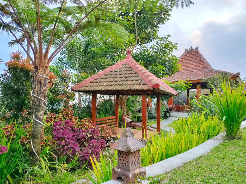 suasana taman atau sawah di sekitar villa.