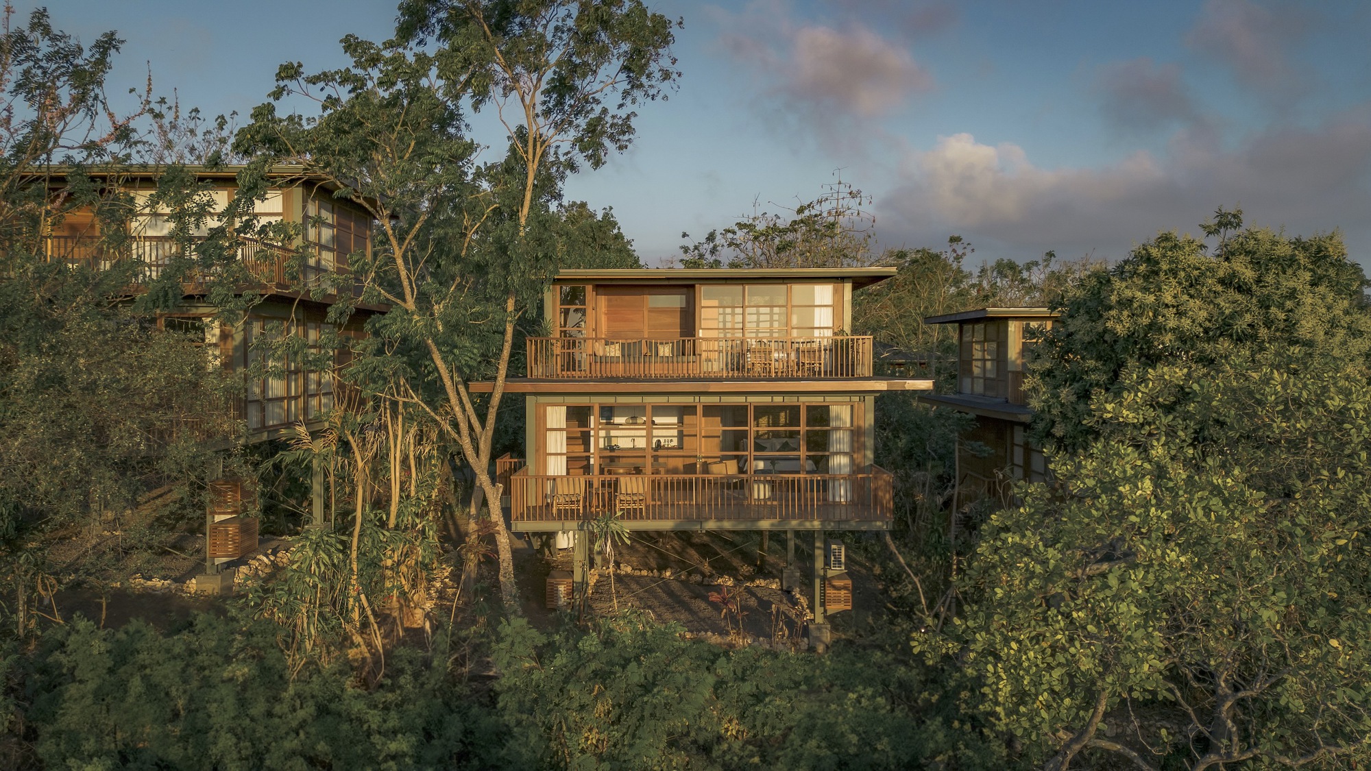 Tree House Villa