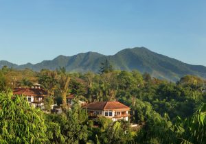 Novus Giri Resort & Spa ( Puncak Jawa Barat )