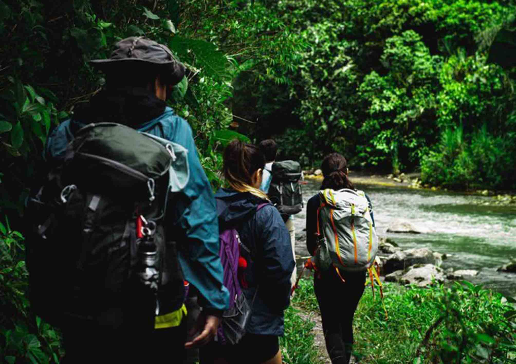 Aktivitas trekking di hutan pinus