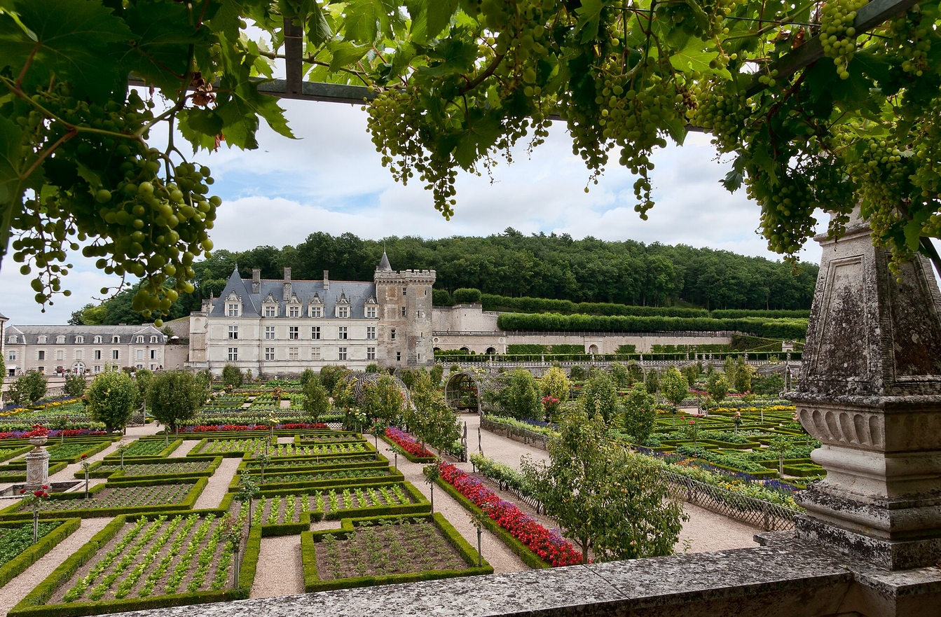 pemandangan kebun di sekitar chateau