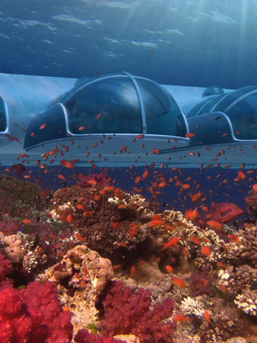 Poseidon Undersea Resort