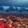 Poseidon Undersea Resort