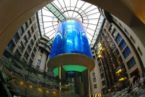 Radisson Blu Hotel