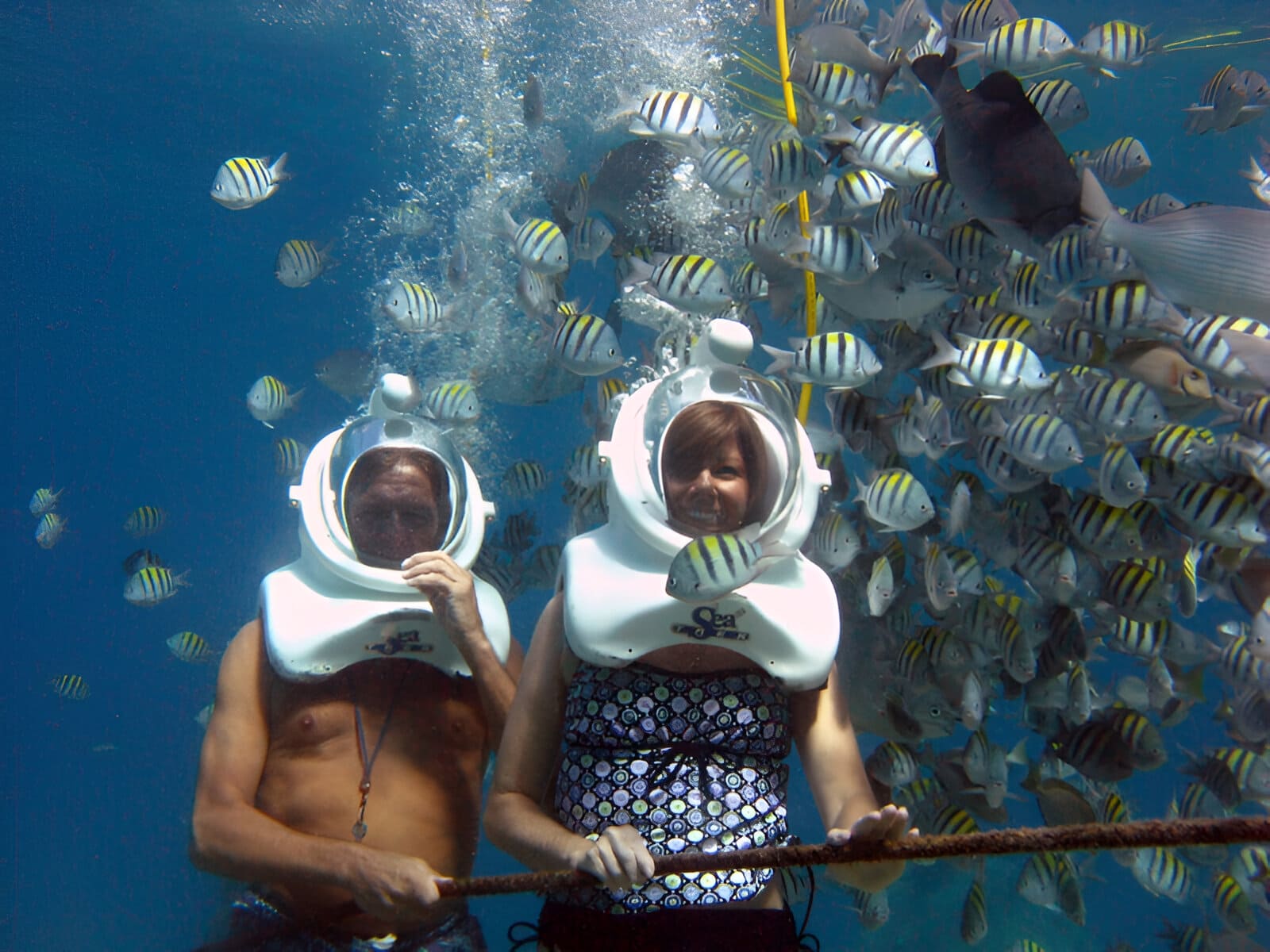 Snorkeling di Perairan Fiji