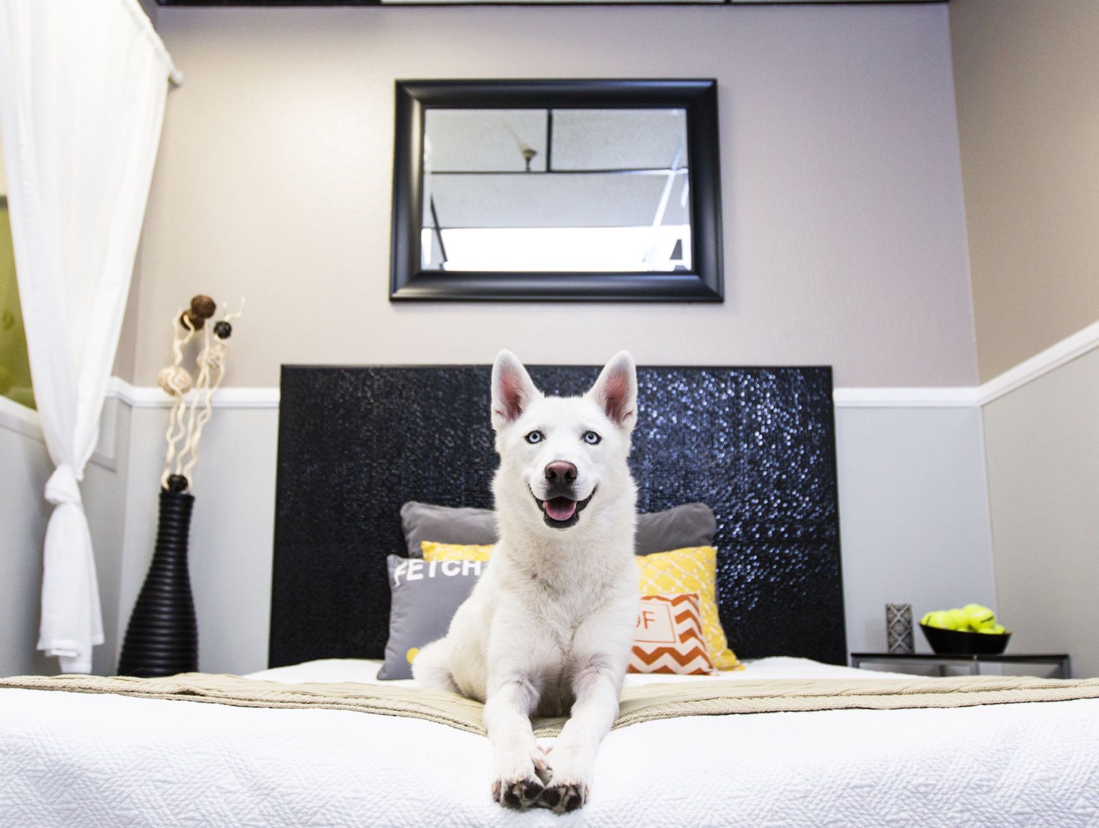 The Barkley Pet Hotel Fasilitas