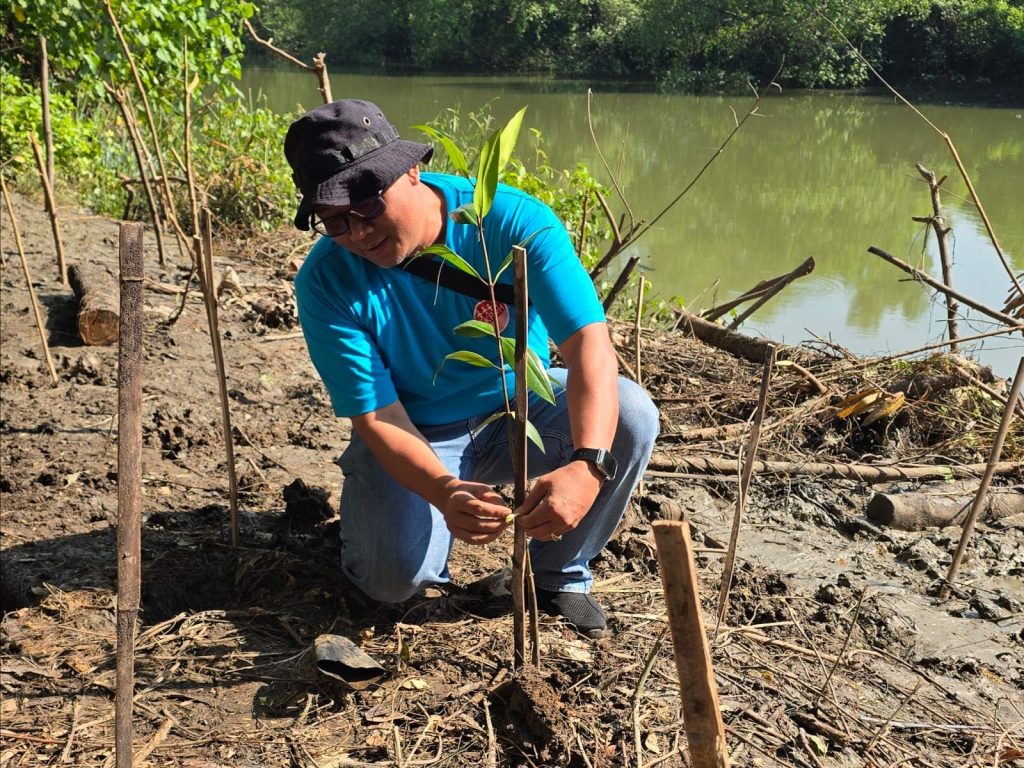 Proses penanaman bibit mangrove sebagai bentuk kepedulian hotel terhadap kelestarian lingkungan