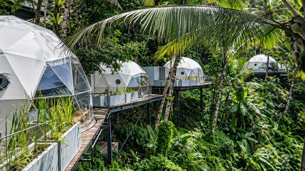 Lintang Luku Tent Resort Ijen dengan unit tenda berbentuk kubah di tengah hutan tropis
