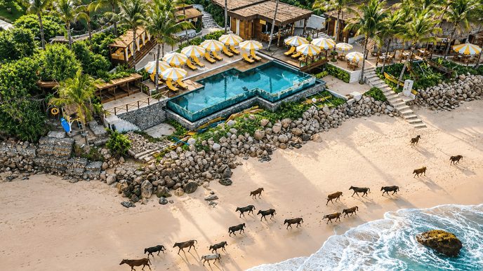 Vila NIHI Sumba dengan kolam renang dan arsitektur tradisional di tengah alam